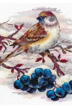 Subito Disponibile kit ricamo a punto croce - Passero agile - MP Studia