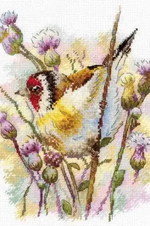 kit ricamo a punto croce - Cardellino americano - MP Studia Direttamente Dal Produttore