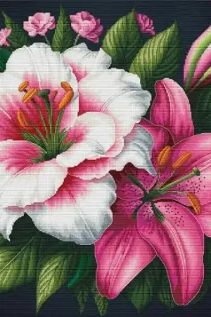 kit ricamo a punto croce - Paradiso - Nova Sloboda Vendita Finale