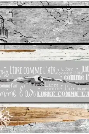 Spedizione Gratuita Foglio di punto croce - Libero come un uccello - Isabelle Haccourt Vautier