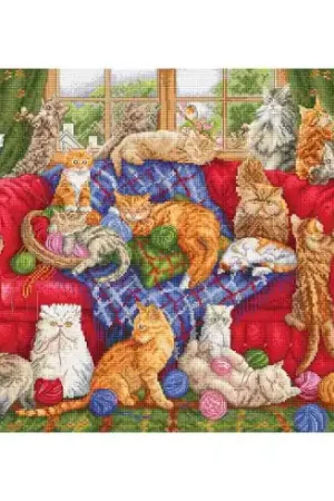 Affare kit ricamo a punto croce - Cat Manor - Letistitch