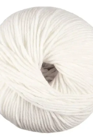 Ordina Subito DMC Woolly