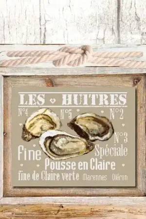 Foglio di punto croce - Ostriche - Isabelle Haccourt Vautier Scelto Dai Clienti