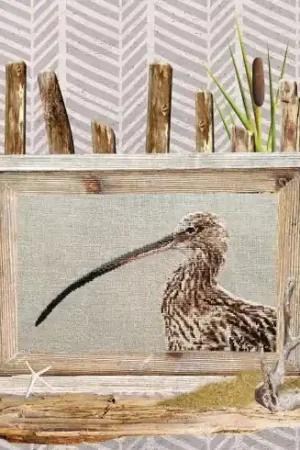 Più Venduto Foglio di punto croce - Il chiurlo - Isabelle Haccourt Vautier