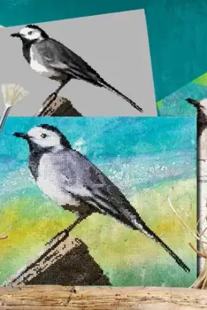 Foglio di punto croce - La cutrettola grigia - Isabelle Haccourt Vautier Nuova Collezione