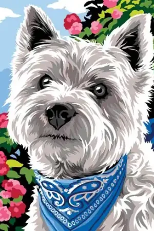 Spedizione Gratuita Canovaccio antico - bandana - SEG de Paris