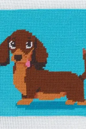 Soddisfatti O Rimborsati Kit di tela per bambini - Bassotto - Anchor