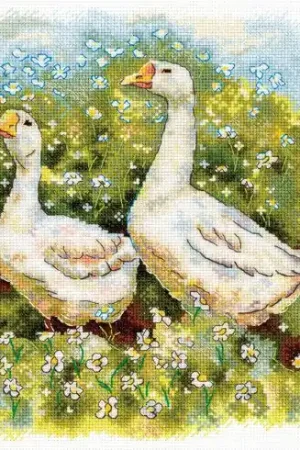 Occasione kit ricamo a punto croce - La marcia delle oche - MP Studia