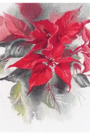 kit ricamo a punto croce - Poinsezia - Oven Ordina Subito