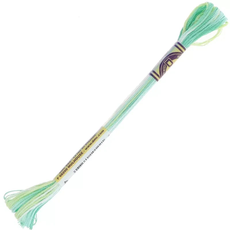 Fil à broder DMC Mouliné Color Variations - Sirène (4040) x8m Professionale