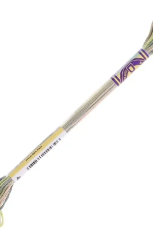 Vendita Finale Fil à broder DMC Mouliné Color Variations - Gazon (4065) x8m