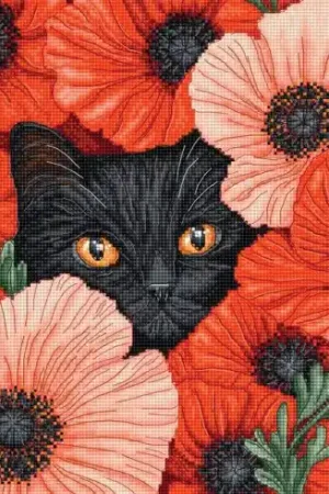 kit ricamo a punto croce - Occhi di papaveri - Letistitch Bestseller