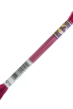 Fil à broder DMC Mouliné Color Variations - Une nuit à l'opéra 4210 x8m Miglior Prezzo