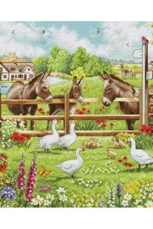 Miglior Prezzo kit ricamo a punto croce - Corte degli asini - Luca-S