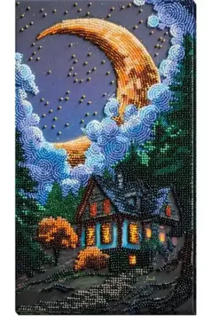 Kit di ricamo con perline - Notte silenziosa - Abris Art Offerta