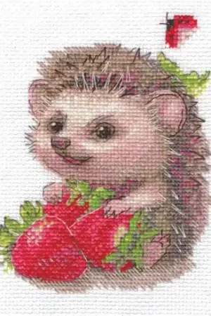 Subito Disponibile kit ricamo a punto croce - Istrice - Aine