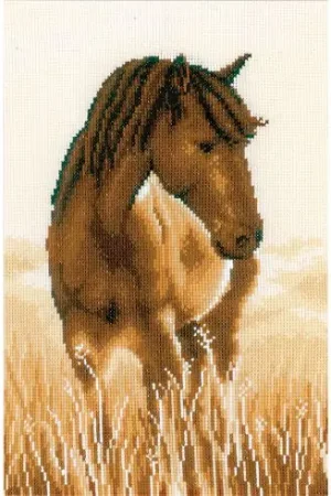 Non Perdere kit ricamo a punto croce - Cavallo - Vervaco