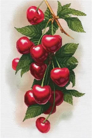 Ultimissimo Modello kit ricamo a punto croce - Ciliegie - Nova Sloboda