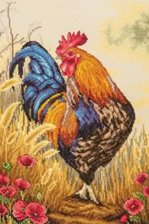 Offerta Limitata kit ricamo a punto croce - Capitano - Lanarte