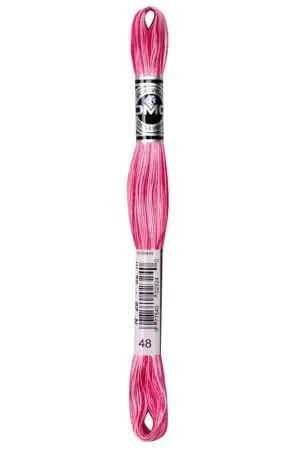 DMC Broder Spécial - Cotone da ricamo Offerta Limitata