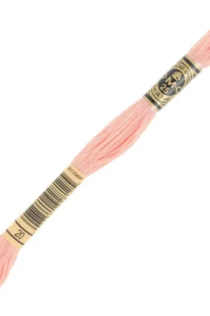 Ultima Occasione Fil à broder DMC Mouliné Spécial 117 MC - Surimi (20) x8m