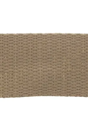 Direttamente Dal Produttore Sangle large métallisée 30 mm - Sable - Doré x1m