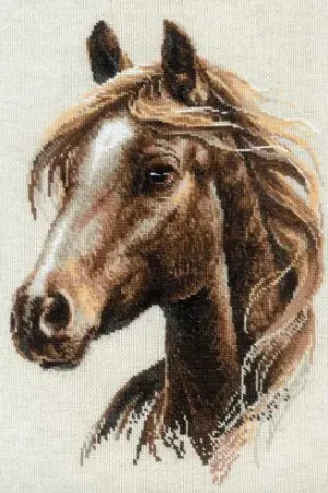 kit ricamo a punto croce - Orgoglio - Riolis Direttamente Dal Produttore