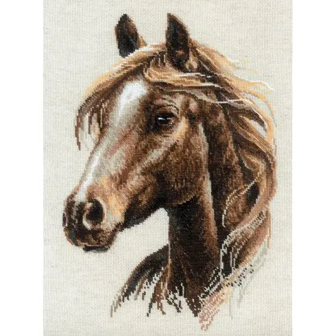 kit ricamo a punto croce - Orgoglio - Riolis Direttamente Dal Produttore