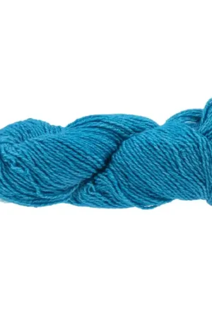 Consegna Rapida Malabrigo Dos Tierras