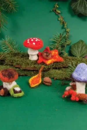 Offerta Limitata Kit di feltro - Funghi - DMC