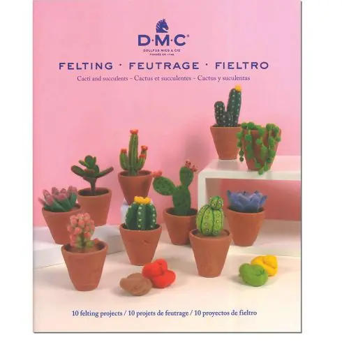Libro - Libro sul feltro - Cactus e piante grasse - DMC Super Prezzo