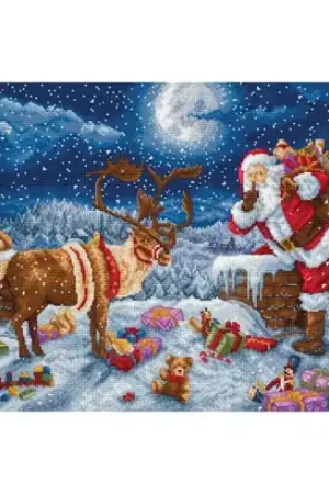 kit ricamo a punto croce - Notte silenziosa - Letistitch Promo Stagionale