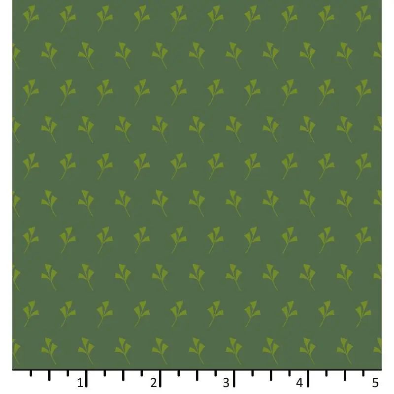 EQP Of Old And New Ginkgo Pine A Buon Prezzo