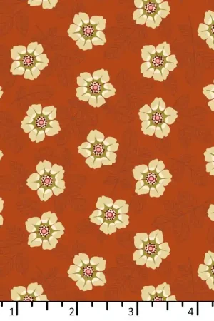 Must-Have EQP Of Old And New Buttercup Pumpkin