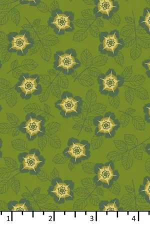 EQP Of Old And New Buttercup Forest Green Pagamento Sicuro