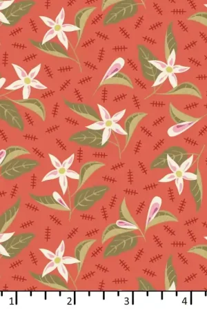 EQP Beyond Time Jasmine Tomato Prezzo Scontato