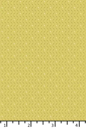 Esclusivo EQP Beyond Time Criss Cross Sweet Sunshine