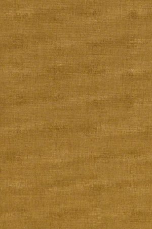 Prezzo Scontato Tilda Chambray Basics Mustard, Tessuto Screziato Giallo Mostarda