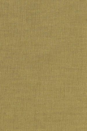 Spedizione Gratuita Tilda Chambray Basics Moss, Tessuto Screziato Verde Muschio