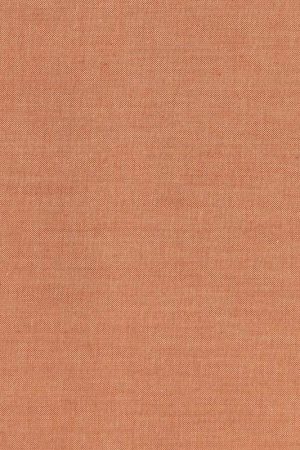 Promozione Esclusiva Tilda Chambray Basics Ginger, Tessuto Screziato Arancio Zenzero