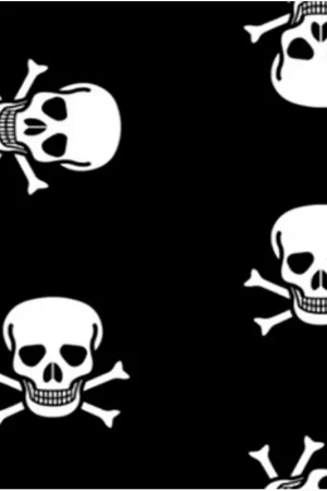 Tessuto in cotone - Teschio Pirata Nero Esclusivo