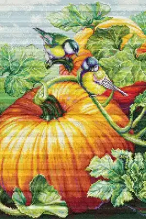 Ultime Pezzi kit ricamo a punto croce - Uccelli su una zucca - Luca-S