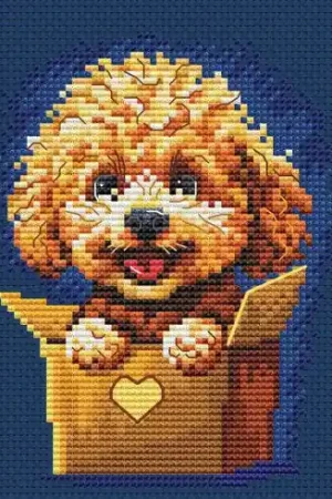 kit ricamo a punto croce - Sorpresa per te - Barboncino - RTO Di Tendenza