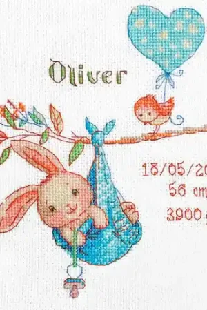 Super Prezzo kit ricamo a punto croce - Ricamo nascita per bambino - Aine