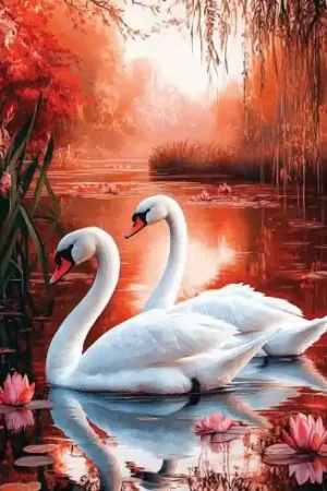 Kit ricamo diamante su telaio - Cigni - Art City Prezzo Conveniente