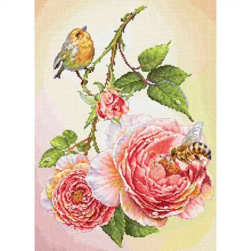 kit ricamo a punto croce - Colazione - Luca-S Acquista Ora