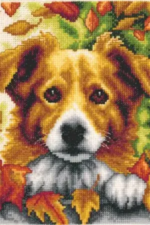 Ordina Subito kit ricamo a punto croce - Cane in autunno - Vervaco