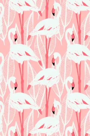 Tessuto Canvas Katia - Flamingos Compra Adesso