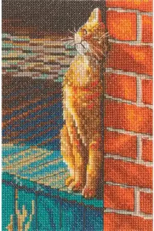 Acquista Ora kit ricamo a punto croce - Gatto giocherellone - RTO