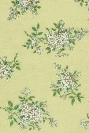 Nuova Collezione Petite Nostalgia Collection, Tessuto Custard - Robert Kaufman